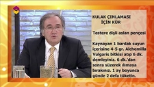 İbrahim Saraçoğlu Kulak Çınlaması Belirtileri ve Tedavisi